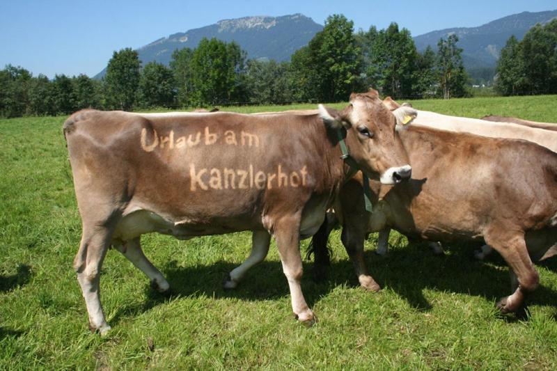 Kanzlerhof Bad Mitterndorf Exteriör bild